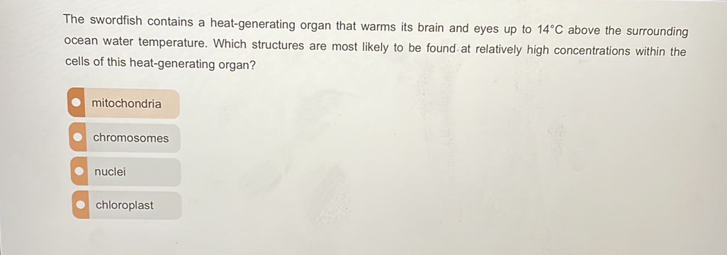 The swordfish contains a heat-generating organ that warms its brain and eyes up to 14°C above the surrounding
ocean water temperature. Which structures are most likely to be found at relatively high concentrations within the
cells of this heat-generating organ?
mitochondria
chromosomes
nuclei
chloroplast