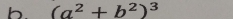 (a^2+b^2)^3