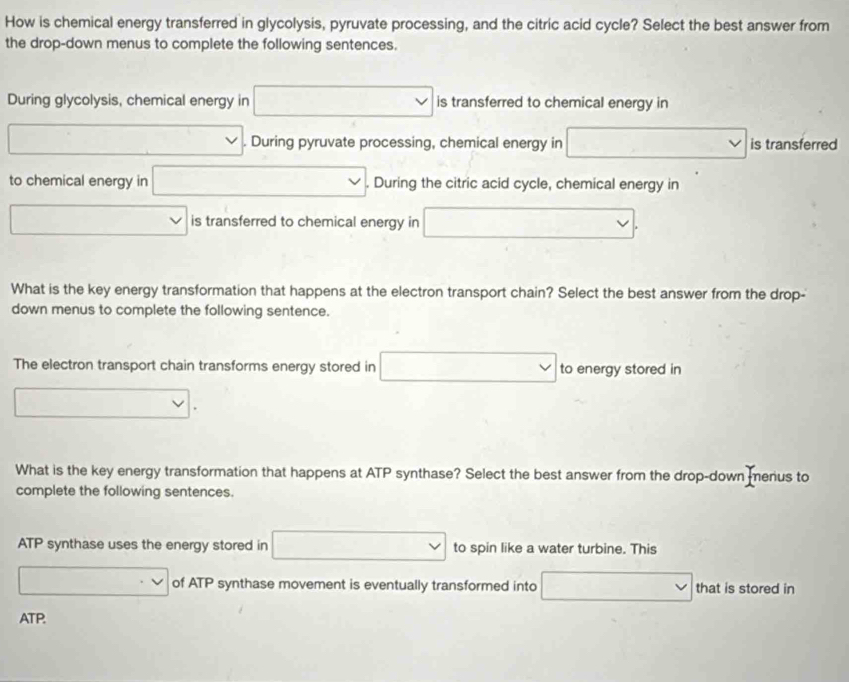 How is chemical energy transferred in glycolysis, pyruvate processing, and the citric acid cycle? Select the best answer from 
the drop-down menus to complete the following sentences. 
During glycolysis, chemical energy in □ is transferred to chemical energy in 
□ □ . During pyruvate processing, chemical energy in □ vee is transferred 
to chemical energy in □. During the citric acid cycle, chemical energy in
□ is transferred to chemical energy in □. 
What is the key energy transformation that happens at the electron transport chain? Select the best answer from the drop- 
down menus to complete the following sentence. 
The electron transport chain transforms energy stored in □ to energy stored in
□ vee
What is the key energy transformation that happens at ATP synthase? Select the best answer from the drop-down menus to 
complete the following sentences. 
ATP synthase uses the energy stored in □ to spin like a water turbine. This
□. of ATP synthase movement is eventually transformed into □ that is stored in
ATP.