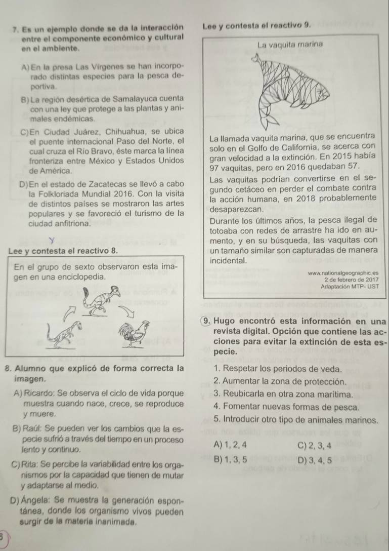 Es un ejemplo donde se da la interacción Lee y contesta el reactivo 9.
entre el componente económico y cultural
en el ambiente. La vaquita marina
A) En la presa Las Vírgenes se han incorpo-
rado distintas especies para la pesca de-
portiva.
B) La región desértica de Samalayuca cuenta
con una ley que protege a las plantas y ani-
males endémicas.
C)En Ciudad Juárez, Chihuahua, se ubica
el puente internacional Paso del Norte, el La llamada vaquita marina, que se encuentra
cual cruza el Río Bravo, éste marca la línea solo en el Golfo de California, se acerca con
fronteriza entre México y Estados Unidos gran velocidad a la extinción. En 2015 había
de América. 97 vaquitas, pero en 2016 quedaban 57.
Las vaquitas podrian convertirse en el se-
D)En el estado de Zacatecas se llevó a cabo gundo cetáceo en perder el combate contra
la Folkloriada Mundial 2016. Con la visita
de distintos países se mostraron las artes la acción humana, en 2018 probablemente
populares y se favoreció el turismo de la desaparezcan.
ciudad anfitriona. Durante los últimos años, la pesca ilegal de
totoaba con redes de arrastre ha ido en au-
mento, y en su búsqueda, las vaquítas con
un tamaño similar son capturadas de manera
incidental.
www.nationalgeographic.es
2 de febrero de 2017
Adaptación MTP- UST
. Hugo encontró esta información en una
revista digital. Opción que contiene las ac-
ciones para evitar la extinción de esta es-
pecie.
8. Alumno que explicó de forma correcta la 1. Respetar los periodos de veda.
imagen. 2. Aumentar la zona de protección.
A) Ricardo: Se observa el ciclo de vida porque 3. Reubicarla en otra zona maritima.
muestra cuando nace, crece, se reproduce 4. Fomentar nuevas formas de pesca.
y muere. 5. Introducir otro tipo de animales marinos.
B) Raúl: Se pueden ver los cambios que la es-
pecie sufrió a través del tiempo en un proceso
lento y continuo. A) 1, 2,4 C) 2, 3, 4
C) Rita: Se percibe la variabilidad entre los orga- B) 1, 3, 5 D) 3,4, 5
nismos por la capacidad que tienen de mutar
y adaptarse al medio.
D) Ángela: Se muestra la generación espon-
tánea, donde los organismo vivos pueden
surgir de la materia inanimada.