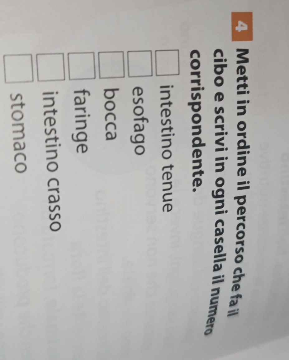 Metti in ordine il percorso che fa il
cibo e scrivi in ogni casella il numero
corrispondente.
intestino tenue
esofago
bocca
faringe
intestino crasso
stomaco