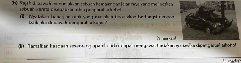 Rajah di bawah menunjukkan sebuah kemalangan jalan raya yang melibatkan 
sebuah kereta disebabkan oleh pengaruh alkohol. 
(i) Nyatakan bahagian otak yang manakah tidak akan berfungsi dengan 
baik jika di bawah pengaruh alkohol? 
_ 
[1 markah] 
(ii) Ramalkan keadaan seseorang apabila tidak dapat mengawal tindakannya ketika dipengaruhi alkohol. 
_ 
[1 markah