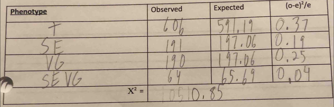 (o-e)^2/e