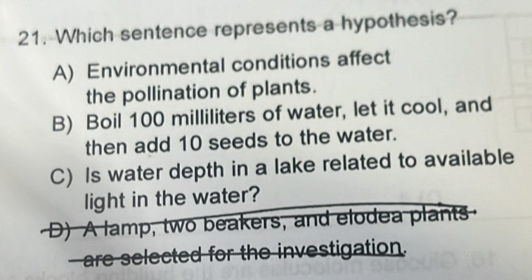 Which sentence represents a hypothesis?
A) Environmental conditions affect
the pollination of plants.
B) Boil 100 milliliters of water, let it cool, and
then add 10 seeds to the water.
C) Is water depth in a lake related to available
light in the water?
D) A lamp, two beakers, and elodea plants
are selected for the investigation.