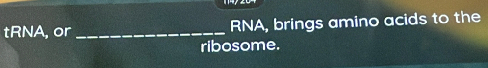 tRNA, or _RNA, brings amino acids to the 
ribosome.