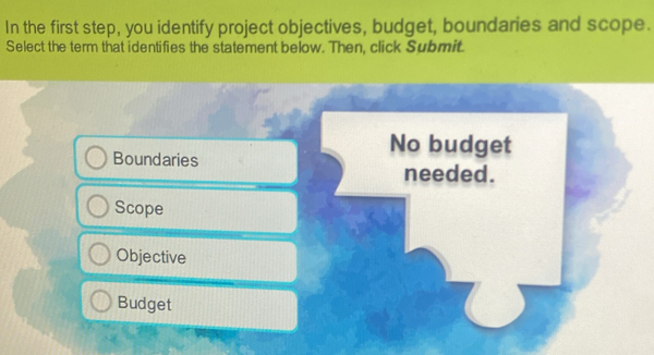 In the first step, you identify project objectives, budget, boundaries and scope.
Select the term that identifies the statement below. Then, click Submit.
Boundaries
No budget
needed.
Scope
Objective
Budget