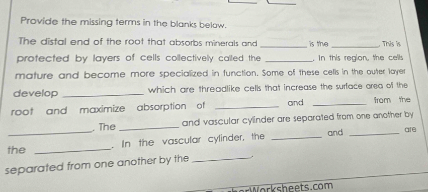 Provide the missing terms in the blanks below. 
The distal end of the root that absorbs minerals and _is the _. This is 
protected by layers of cells collectively called the _. In this region, the cells 
mature and become more specialized in function. Some of these cells in the outer layer 
develop _which are threadlike cells that increase the surface area of the 
root and maximize absorption of _and _from the 
. The _and vascular cylinder are separated from one another by 
the _. In the vascular cylinder, the _and _are 
separated from one another by the_ 
. 
W ork sheets.com