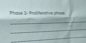 Phase 2- Proliferative phose: 
_ 
_ 
_