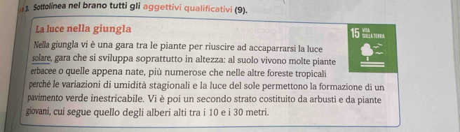 Sottolinea nel brano tutti gli aggettivi qualificativi (9). 
La luce nella giungla
15 M a tera 
Nella giungla vi è una gara tra le piante per riuscire ad accaparrarsi la luce 
solare, gara che si sviluppa soprattutto in altezza: al suolo vivono molte piante 
erbacee o quelle appena nate, più numerose che nelle altre foreste tropicali 
perché le variazioni di umidità stagionali e la luce del sole permettono la formazione di un 
pavimento verde inestricabile. Vi è poi un secondo strato costituito da arbusti e da piante 
giovani, cui segue quello degli alberi alti tra i 10 e i 30 metri.