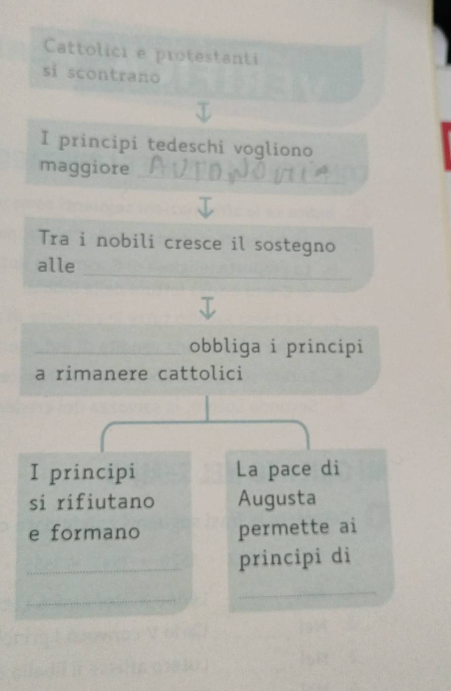 Cattolici e protestanti 
si scontrano 
I principi tedeschi vogliono 
maggiore_ 
Tra i nobili cresce il sostegno 
_ 
alle 
_obbliga i principi 
a rimanere cattolici 
I principi La pace di 
si rifiutano Augusta 
e formano permette ai 
_principi di 
_ 
_