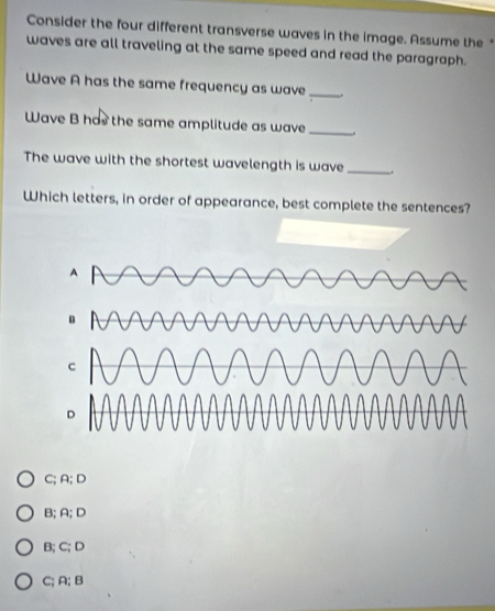 Consider the four different transverse waves in the image. Assume the
waves are all traveling at the same speed and read the paragraph.
Wave A has the same frequency as wave_
Wave B has the same amplitude as wave_ .
The wave with the shortest wavelength is wave _.
Which letters, in order of appearance, best complete the sentences?
A
c
D
C; A; D
B; A; D
B;C; D
C; A; B