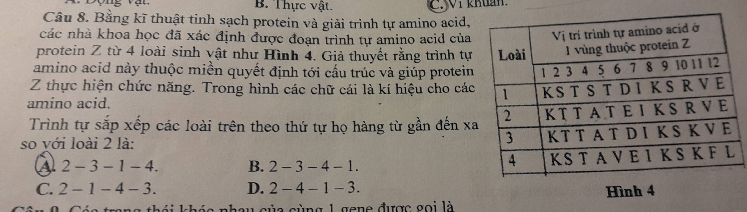 Thực vật. C.Wi khuan.
Câu 8. Bằng kĩ thuật tinh sạch protein và giải trình tự amino acid,
các nhà khoa học đã xác định được đoạn trình tự amino acid của
protein Z từ 4 loài sinh vật như Hình 4. Giả thuyết rằng trình tự
amino acid này thuộc miền quyết định tới cấu trúc và giúp protein
Z thực hiện chức năng. Trong hình các chữ cái là kí hiệu cho các
amino acid.
Trình tự sắp xếp các loài trên theo thứ tự họ hàng từ gần đến x
so với loài 2 là:
A. 2 - 3 - 1 - 4. B. 2 - 3 - 4 - 1.
C. 2 - 1 - 4 - 3. D. 2 - 4 - 1 - 3.
Hình 4
a cùng 1 gene được goi là