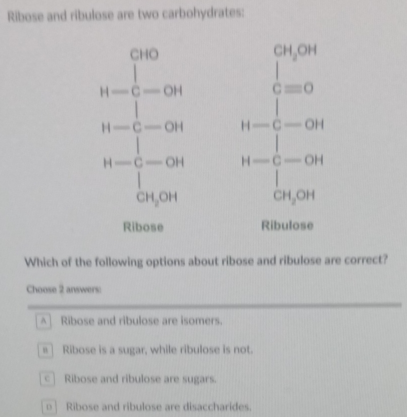 Ribose and ribulose are two carbohydrates:
beginarrayr □ □  81encloselongdiv □ □ -□ □  □ -□ □  hline □ -□ □  hline □ -□ □ -□ □  hline □ -□ □ endarray beginarrayr 750 -□ 9 -8 -8 -9 hline 0endarray □ 9 hline 0endarray  
Which of the following options about ribose and ribulose are correct?
Choose 2 answers:
A Ribose and ribulose are isomers.
a ] Ribose is a sugar, while ribulose is not.
c Ribose and ribulose are sugars.
o | Ribose and ribulose are disaccharides.