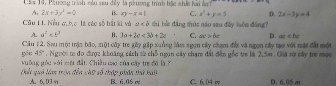 Cầu 10. Phương trình nào sau đây là phương trình bậc nhất hai ân?
A. 2x+3y^2=0 B. xy-x=1 C. x^5+y=5 D. 2x-3y=4
Câu 11. Nếu a, b, c là các số bất ki và a thì bất đẳng thức nào sau đây luôn đúng?
A. a^2 B. 3a+2c<3b+2c C. ac>bc D. ac
Câu 12. Sau một trận bão, một cây tre gãy gập xuống làm ngọn cây chạm đất và ngọn cây tạo với mặt đát một
góc 45°. Người ta đo được khoảng cách từ chỗ ngọn cây chạm đất đến gốc tre là 2,5m. Giả sứ cây tre mọc
vuông góc với mặt đất, Chiều cao của cây tre đó là ?
(kết quả làm tròn đến chữ số thập phân thứ hai)
A. 6,03 m B. 6,06 m C. 6,04 m D. 6.05 m