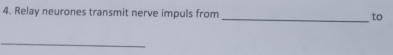Relay neurones transmit nerve impuls from _to 
_