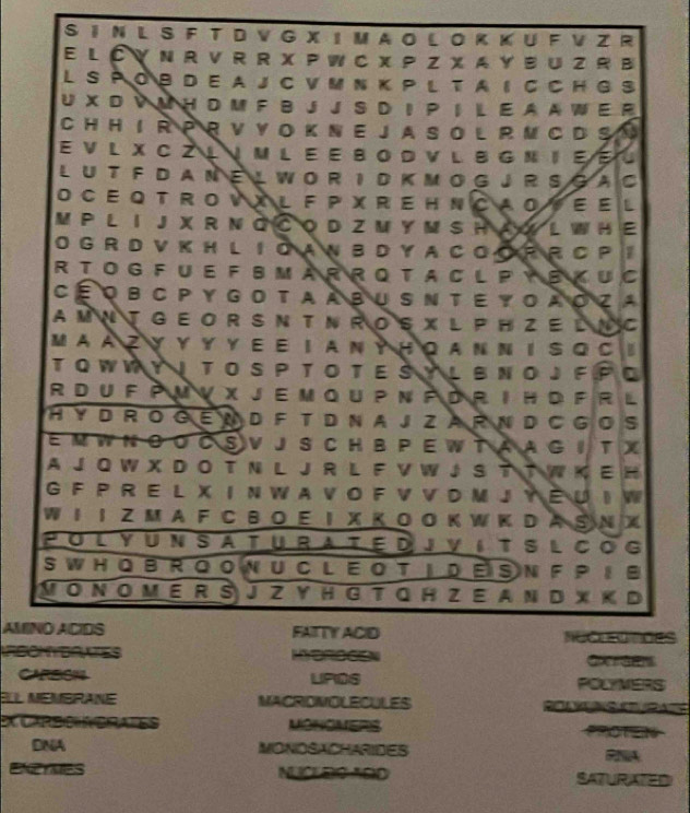 IN L S F T D V G 
AMIeS 
REO 
CA LPSS POLYMERS 
ELL MEMERANE MACROVOLECULES RONKSTURAZS 
E CarscngraleS MONOMERS PROTEN 
DNA MONDSACHARIDES RA 
Exences NUCLDO ADD SATURATED