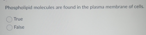 Phospholipid molecules are found in the plasma membrane of cells.
True
False