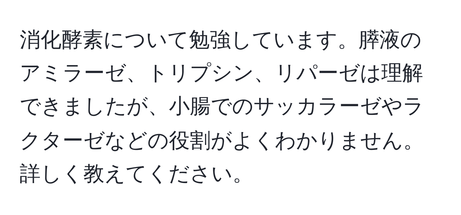 消化酵素について勉強しています。膵液のアミラーゼ、トリプシン、リパーゼは理解できましたが、小腸でのサッカラーゼやラクターゼなどの役割がよくわかりません。詳しく教えてください。