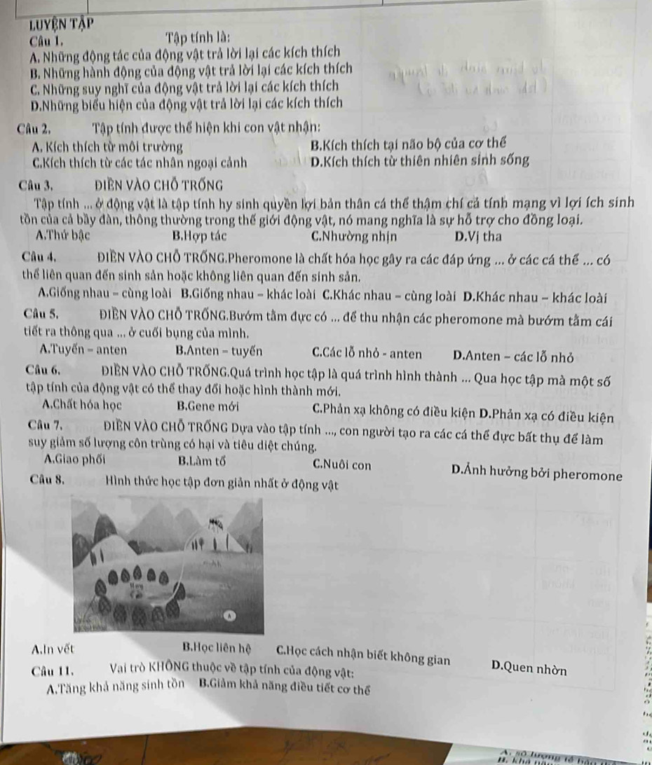 luyện Tập
Câu 1.  Tập tính là:
A. Những động tác của động vật trả lời lại các kích thích
B. Những hành động của động vật trả lời lại các kích thích
C. Những suy nghĩ của động vật trả lời lại các kích thích
D.Những biểu hiện của động vật trả lời lại các kích thích
Câu 2,  Tập tính được thể hiện khi con vật nhận:
A. Kích thích từ môi trường B.Kích thích tại não bộ của cơ thể
C.Kích thích từ các tác nhân ngoại cảnh D.Kích thích từ thiên nhiên sinh sống
Câu 3. điền vào chỗ trống
Tập tính ... ở động vật là tập tính hy sinh quyền lợi bản thân cá thể thậm chí cả tính mạng vì lợi ích sinh
tồn của cả bầy đàn, thông thường trong thế giới động vật, nó mang nghĩa là sự hỗ trợ cho đồng loại.
A.Thứ bậc B.Hợp tác C.Nhường nhịn D.Vj tha
Câu 4, ĐIÊN VÀO CHỗ TRỐNG.Pheromone là chất hóa học gây ra các đáp ứng ... ở các cá thế ... có
thể liên quan đến sinh sản hoặc không liên quan đến sinh sản.
A.Giống nhau - cùng loài B.Giống nhau - khác loài C.Khác nhau - cùng loài D.Khác nhau - khác loài
Câu 5.  ĐIÊN VÀO CHỗ TRỐNG.Bướm tằm đực có ... để thu nhận các pheromone mà bướm tằm cái
tiết ra thông qua ... ở cuối bụng của mình.
A.Tuyến - anten BAnten - tuyến C.Các lỗ nhỏ - anten D.Anten - các lỗ nhỏ
Câu 6. ĐIBN VÀO CHỗ TRỐNG.Quá trình học tập là quá trình hình thành ... Qua học tập mà một số
tập tính của động vật có thể thay đối hoặc hình thành mới.
A.Chất hóa học BGene mới C.Phản xạ không có điều kiện D.Phản xạ có điều kiện
Câu 7. ĐIềN VÀO CHỗ TRỐNG Dựa vào tập tính ..., con người tạo ra các cá thể đực bất thụ để làm
suy giảm số lượng côn trùng có hại và tiêu diệt chúng.
A.Giao phối B.Làm tổ C.Nuôi con D.Ảnh hưởng bởi pheromone
Câu 8.  Hình thức học tập đơn giản nhất ở động vật
A.In vết B.Học liên hệ C.Học cách nhận biết không gian D.Quen nhờn
Câu 11.  Vai trò KHÔNG thuộc về tập tính của động vật:
A.Tăng khả năng sính tồn B.Giảm khả năng điều tiết cơ thể
a 
A số lượng tế hạt