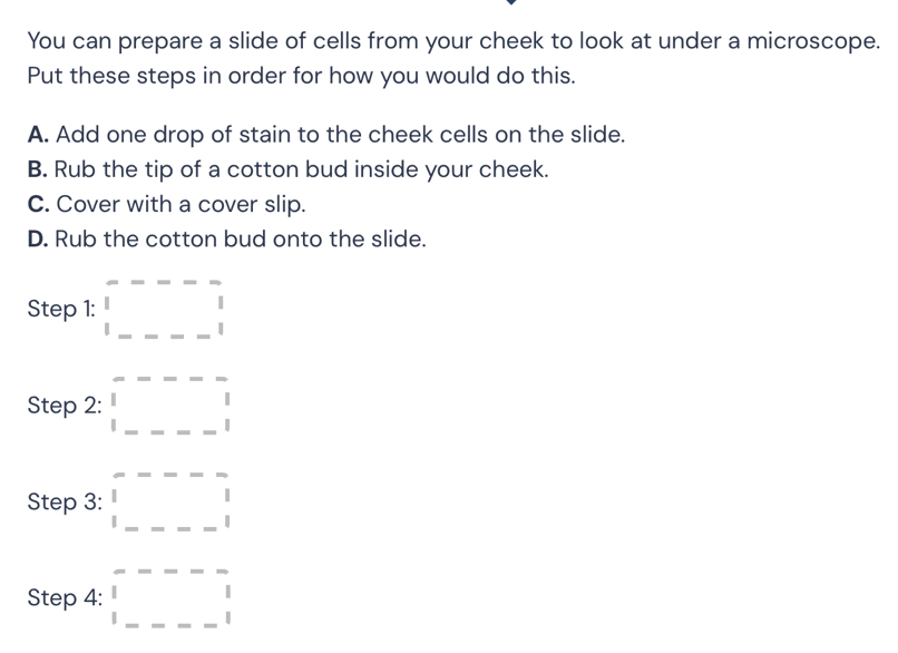 You can prepare a slide of cells from your cheek to look at under a microscope.
Put these steps in order for how you would do this.
A. Add one drop of stain to the cheek cells on the slide.
B. Rub the tip of a cotton bud inside your cheek.
C. Cover with a cover slip.
D. Rub the cotton bud onto the slide.
Step 1: □ =---□
□ ,□ )
Step 2: □ m-□
Step 3: □ -□ =□
Step 4: □