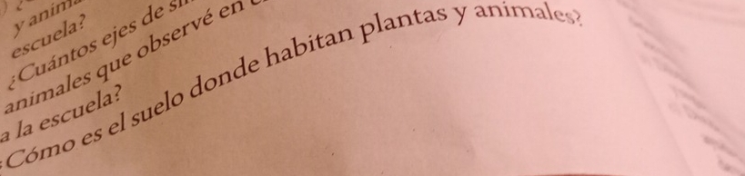 escuela? yanim 
* Cuántos ejes de . 
animales que observé en 
Cómo es el suelo donde habitan plantas y animales 
a la escuela?