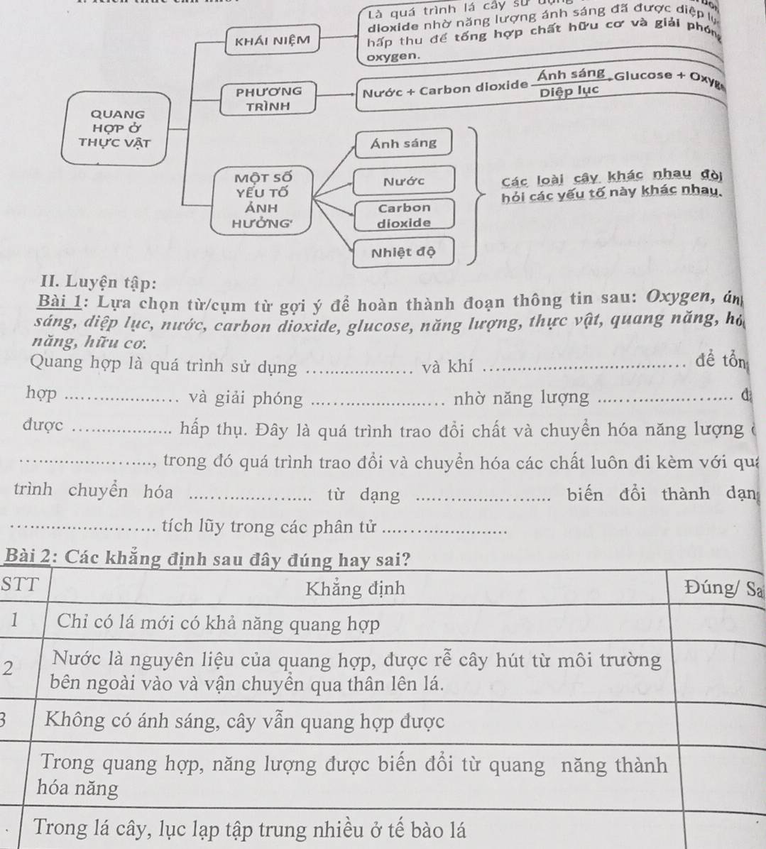 Là quá trình lá cây sử dụ 
dioxide nhờ năng lượng ánh sáng đã được diệp lý 
khái niệm hấp thu để tống hợp chất hữu cơ và giải phóng 
oxygen. 
Ánh sáng Glucose + Oxyg 
PHUONG 
QUANG TRìNH Nước + Carbon dioxide Diệp lục 
HợP Ở 
thực vật Ánh sáng 
Một số Nước Các loài cây khác nhau đòi 
Yểu tố 
Ảnh Carbon hỏi các yếu tố này khác nhau 
HUỞNG dioxide 
Nhiệt độ 
II. Luyện tập: 
Bài 1: Lựa chọn từ cụm từ gợi ý để hoàn thành đoạn thông tin sau: Oxygen, án 
sáng, diệp lục, nước, carbon dioxide, glucose, năng lượng, thực vật, quang năng, hỏ, 
năng, hữu cơ. đề tổn 
Quang hợp là quá trình sử dụng _và khí_ 
hop _và giải phóng _nhờ năng lượng _d 
được _hấp thụ. Đây là quá trình trao đồi chất và chuyển hóa năng lượng ở 
_trong đó quá trình trao đổi và chuyển hóa các chất luôn đi kèm với quá 
trình chuyền hóa _từ dạng _biến đổi thành dạn 
_tích lũy trong các phân tử_ 

SSa 
1 
2 
3