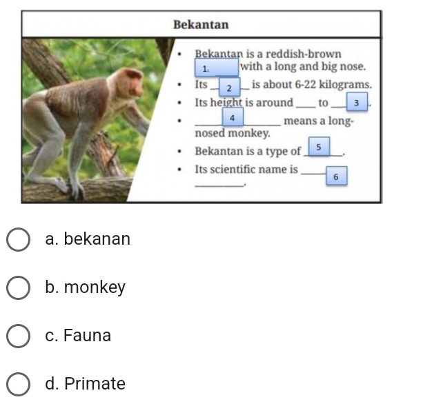 a. bekanan
b. monkey
c. Fauna
d. Primate