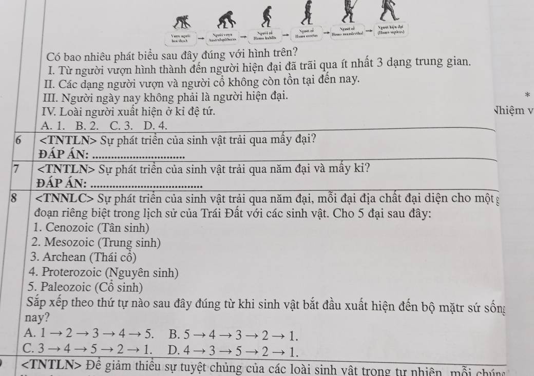 guii ed Ng nm có Ngeet tả Nguời hiện đại
Teen açeii Ngoài voya Hannn kahilis Homs erectes → Homo seamdrithal (tomo sapicos)
Có bao nhiêu phát biểu sau đây đúng với hình trên?
I. Từ người vượn hình thành đến người hiện đại đã trãi qua ít nhất 3 dạng trung gian.
III. Các dạng người vượn và người cổ không còn tồn tại đến nay.
III. Người ngày nay không phải là người hiện đại. *
IV. Loài người xuất hiện ở kỉ đệ tứ.  hiệm v
A. 1. B. 2. C. 3. D. 4.
_
6 ∠ TNTLN> Sự phát triển của sinh vật trải qua mấy đại?
đÁP ÁN:_
_
7 Sự phát triển của sinh vật trải qua năm đại và mấy ki?
đÁP ÁN:_
8 ∠ TNNLC> *Sự phát triển của sinh vật trải qua năm đại, mỗi đại địa chất đại diện cho mộtg
đoạn riêng biệt trong lịch sử của Trái Đất với các sinh vật. Cho 5 đại sau đây:
1. Cenozoic (Tân sinh)
2. Mesozoic (Trung sinh)
3. Archean (Thái cổ)
4. Proterozoic (Nguyên sinh)
5. Paleozoic (Cổ sinh)
Sắp xếp theo thứ tự nào sau đây đúng từ khi sinh vật bắt đầu xuất hiện đến bộ mặtr sứ sống
nay?
A. 1to 2to to 4to 5. B. 5to 4to 3to 2to 1.
C. 3to 4to to 2to 1. D. 4to 3to 5to 2to 1.
Đê giảm thiêu sự tuyệt chủng của các loài sinh vật trong tự nhiên, mỗi chúng