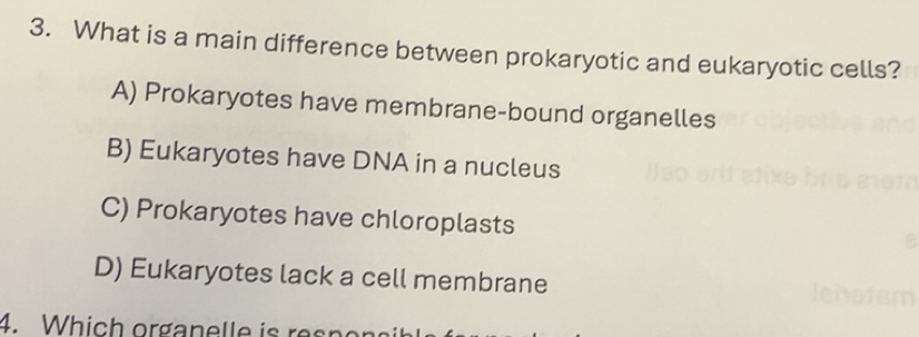 Solved: What is a main difference between prokaryotic and eukaryotic ...