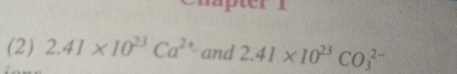 (2) 2.41* 10^(23)Ca^(2+) and 2.41* 10^(23)CO_3^(2-)