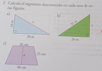 Calcula el segmento desconocido en cada una de es- 
tas figuras.