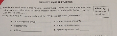 Pünnett souare präctice 
Allele Key: 
1. Albinism is a trait seen in many animal species that prevents the coloration genes from Normal 
being expressed, therefore no brown melanin protein is produced in the hair, skin, or N=
even the iris of the eye. 
Using the letters N= normal and n= albino. Write the genotype (2 letters) for: n= albino 
a. homozygous normal_ d. homozygous dominant:_ 
b. heterozygous _e. homozygous recessive:_ 
_ 
c. albino f. heterozygous normal:_