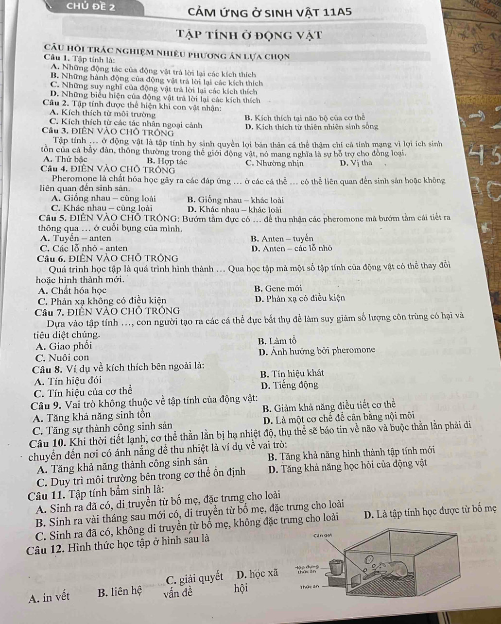 chú đE 2  CẢM ỨnG ở sInH Vật 11A5
Tập tính ở động vật
câu hỏi trác nghiệm nhiều phương án lựa chọn
Câu 1. Tập tính là:
A. Những động tác của động vật trả lời lại các kích thích
B. Những hành động của động vật trả lời lại các kích thích
C. Những suy nghĩ của động vật trà lời lại các kích thích
D. Những biểu hiện của động vật trả lời lại các kích thích
Câu 2. Tập tính được thể hiện khi con vật nhận:
A. Kích thích từ môi trường
C. Kích thích từ các tác nhân ngoại cảnh B. Kích thích tại não bộ của cơ thể
Cầu 3. ĐIÊN VÀO CHÔ TRÔNG D. Kích thích từ thiên nhiên sinh sống
Tập tính ạ ở động vật là tập tính hy sinh quyền lợi bản thân cá thể thậm chí cả tính mạng vì lợi ích sinh
tồn của cả bầy đàn, thông thường trong thế giới động vật, nó mang nghĩa là sự hỗ trợ cho đồng loại.
A. Thứ bậc B. Hợp tác C. Nhường nhịn D. Vj tha ，
Câu 4. ĐIÊN VÀO CHỗ TRÔNG
Pheromone là chất hóa học gây ra các đáp ứng ... ở các cá thể ... có thể liên quan đến sinh sản hoặc không
liên quan đến sinh sản.
A. Giống nhau - cùng loài B. Giống nhau - khác loài
C. Khác nhau - cùng loài  D. Khác nhau - khác loài
Câu 5. ĐIÊN VÀQ CHÔ TRÓNG: Bướm tằm đực có ... đề thu nhận các pheromone mà bướm tằm cái tiết ra
thông qua .. ở cuối bụng của mình.
A. Tuyển - anten B. Anten - tuyến
C. Các lỗ nhỏ - anten D. Anten - các lỗ nhỏ
Câu 6. ĐIÈN VÀO CHỐ TRÔNG
Quá trình học tập là quá trình hình thành ... Qua học tập mà một số tập tính của động vật có thể thay đổi
hoặc hình thành mới.
A. Chất hóa học B. Gene mới
C. Phản xạ không có điều kiện D. Phản xạ có điều kiện
Câu 7. ĐIÊN VÀO CHỗ TRÓNG
Dựa vào tập tính ..., con người tạo ra các cá thể đực bất thụ để làm suy giảm số lượng côn trùng có hại và
tiêu diệt chúng.
A. Giao phối B. Làm tổ
C. Nuôi con D. Ảnh hưởng bởi pheromone
Câu 8. Ví dụ về kích thích bên ngoài là:
B. Tín hiệu khát
A. Tín hiệu đói
C. Tín hiệu của cơ thể D. Tiếng động
Câu 9. Vai trò không thuộc về tập tính của động vật:
A. Tăng khả năng sinh tồn B. Giảm khả năng điều tiết cơ thể
C. Tăng sự thành công sinh sản D. Là một cơ chế để cân bằng nội môi
Câu 10. Khi thời tiết lạnh, cơ thể thằn lằn bị hạ nhiệt độ, thụ thể sẽ báo tin về não và buộc thằn lằn phải di
chuyển đến nơi có ánh nắng đề thu nhiệt là ví dụ về vai trò:
A. Tăng khả năng thành công sinh sản B. Tăng khả năng hình thành tập tính mới
C. Duy trì môi trường bên trong cơ thể ổn định D. Tăng khả năng học hỏi của động vật
Câu 11. Tập tính bầm sinh là:
A. Sinh ra đã có, di truyền từ bố mẹ, đặc trưng cho loài
B. Sinh ra vài tháng sau mới có, di truyền từ bố mẹ, đặc trưng cho loài
C. Sinh ra đã có, không di truyền từ bố mẹ, không đặc trưng cho loài D. Là tập tính học được từ bố mẹ
Câu 12. Hình thức học tập ở hình sau là
C. giải quyết D. học xã 
A. in vết B. liên hệ vấn đề hội