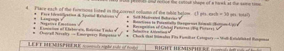 fom peables and notice the cutour shape of a hawk at the same time . 
4. Place each of the functions listed in the correct column of the table below (3 pts. each =30 pts. total) 
Face Identification & Spatial Relations Self-Motivated Behavior 
Language Reactions to Potentially Daugerous Stimuli (Bottom-Up) √ 
Negative Emotions Recognition of Globaf Patterns (Big Picture) 
Execution of Elaborate, Reutine Tasks Selective Atteation 
Overall Novelty — Emergency Response Check that Stimulus Fits Familiar Category → Well-Established Respunse 
LEFT HEMISPHERE (controls right sida of body) RIGHT HEMISPHERE (controí |e r is e