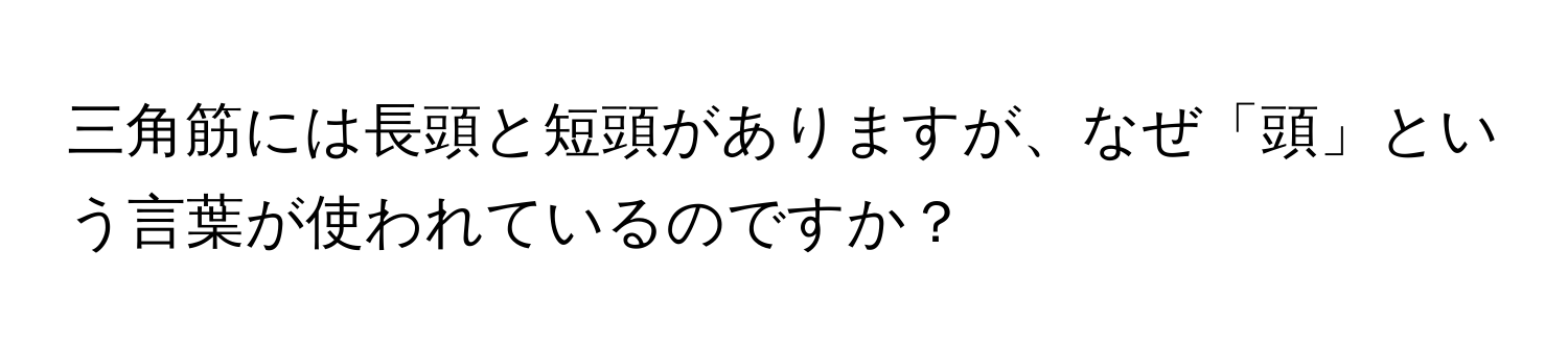 三角筋には長頭と短頭がありますが、なぜ「頭」という言葉が使われているのですか？