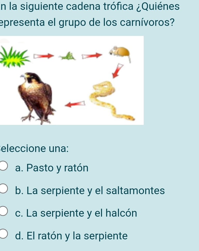 En la siguiente cadena trófica ¿Quiénes
epresenta el grupo de los carnívoros?
eleccione una:
a. Pasto y ratón
b. La serpiente y el saltamontes
c. La serpiente y el halcón
d. El ratón y la serpiente