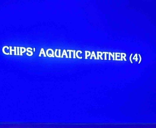 CHIPS' AQUATIC PARTNER (4)