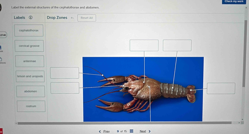 Solved: Check my work Label the external structures of the ...