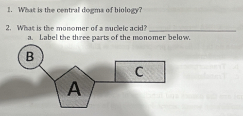 What is the central dogma of biology? 
2. What is the monomer of a nucleic acid?_ 
a. Label the three parts of the monomer below.