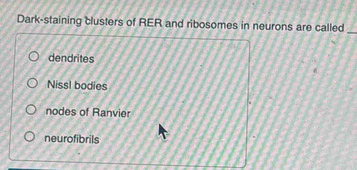 Solved: Dark-staining clusters of RER and ribosomes in neurons are ...