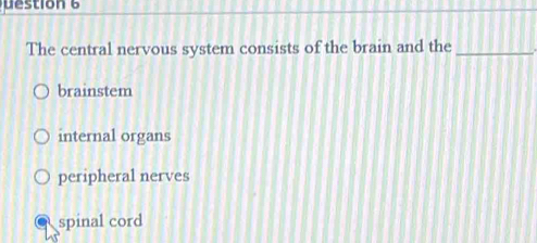 stion 6 
The central nervous system consists of the brain and the_
brainstem
internal organs
peripheral nerves
spinal cord