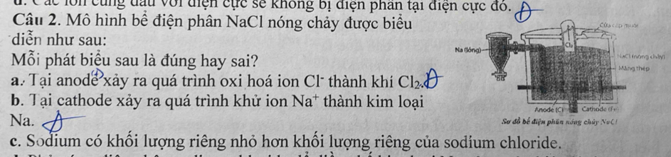 Các lớn cùng đấu với điện cực sẽ không bị điện phân tại điện cực đó.
Câu 2. Mô hình bể điện phân NaCl nóng chảy được biểu
diễn như sau:
Mỗi phát biệu sau là đúng hay sai?
a. Tại anode xảy ra quá trình oxi hoá ion Cl thành khí Cl_2.
b. Tại cathode xảy ra quá trình khử ion Na^+ thành kim loại
Na. Sơ đồ bể điện phần nóng chủy Nu C
c. Sodium có khổi lượng riêng nhỏ hơn khối lượng riêng của sodium chloride.