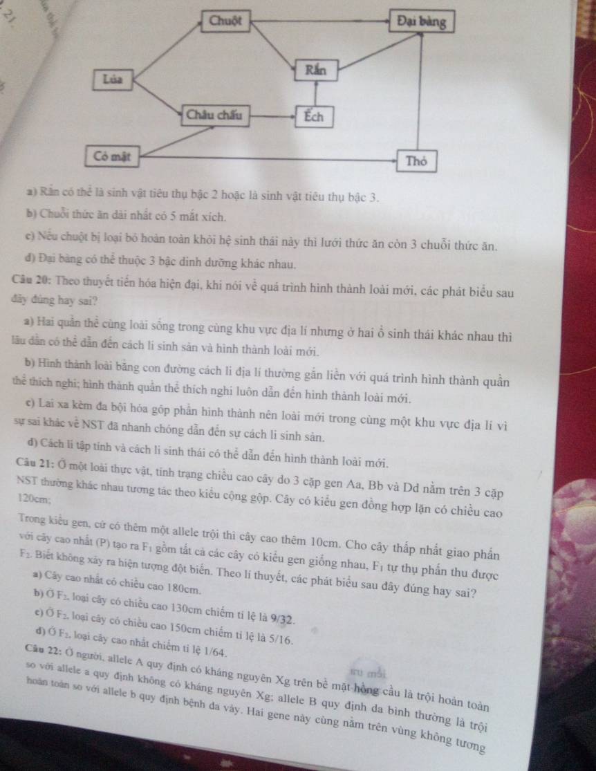 3
*) R.
b) Chuỗi thức ăn dài nhất có 5 mắt xích.
e) Nếu chuột bị loại bỏ hoàn toàn khỏi hệ sinh thái này thì lưới thức ăn còn 3 chuỗi thức ăn.
đ) Đại bàng có thể thuộc 3 bậc dinh dưỡng khác nhau.
Câu 20: Theo thuyết tiển hóa hiện đại, khi nói về quá trình hình thành loài mới, các phát biểu sau
đây đùng hay sai?
a) Hai quân thể cùng loài sống trong cùng khu vực địa lí nhưng ở hai ổ sinh thái khác nhau thì
lầu dân có thể dẫn đến cách li sinh sản và hình thành loài mới.
b) Hình thành loài bằng con đường cách li địa lí thường gắn liền với quá trình hình thành quân
thể thích nghi; hình thành quản thể thích nghi luôn dẫn đến hình thành loài mới.
e) Lai xa kèm đa bội hóa gốp phần hình thành nên loài mới trong cùng một khu vực địa lí vì
sự sai khác về NST đã nhanh chóng dẫn đến sự cách li sinh sản.
đ) Cách li tập tính và cách li sinh thái có thể dẫn đến hình thành loài mới.
Câu 21: Ở một loài thực vật, tinh trạng chiều cao cây do 3 cặp gen Aa, Bb và Dd nằm trên 3 cặp
NST thường khác nhau tương tác theo kiểu cộng gộp. Cây có kiểu gen đồng hợp lặn có chiều cao
120cm;
Trong kiểu gen, cử có thêm một allele trội thì cây cao thêm 10cm. Cho cây thắp nhất giao phần
với cây cao nhất (P) tạo ra F_1 gồm tắt cả các cây có kiểu gen giống nhau, F_1 : ự thụ phẩn thu được
F_2. Biết không xảy ra hiện tượng đột biển. Theo lí thuyết, các phát biểu sau đây đúng hay sai?
a) Cây cao nhất có chiều cao 180cm.
bj overline OF_ , loại cây có chiều cao 130cm chiếm tí lệ là 9/32.
c OF_2 , loại cây có chiều cao 150cm chiếm ti lệ là 5/16.
d) sigma _F_2 , loại cây cao nhất chiếm tỉ lệ 1/64.
ru mài
Câu 22: Ở người, allele A quy định có kháng nguyên Xg trên bể mặt hồng cầu là trội hoàn toàn
so với allele a quy định không có kháng nguyên Xg; allele B quy định da bình thường là trội
hoàn toàn so với allele b quy định bệnh da vày. Hai gene này cùng nằm trên vùng không tương