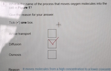 What is the name of the process that moves oxygen molecules into the
cell in Figure 1?
Give the reason for your answer.
Tick (√) one box.
Active transport
Diffusion
Osmosis
Reason It moves molecules from a high concentration to a lower concentr