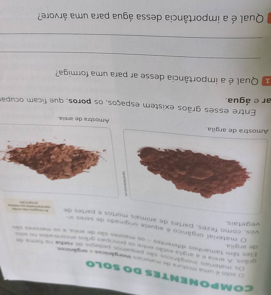 COMPonenTeS DO SOLo 
O solo é uma mistura de materiais inorgânicos e orgânicos 
Os materiais inorgânicos são pequenos pedaços de rocha na forma de 
grãos. A arela e a argila estão entre os principais grãos encintrados no solo 
de argila. 
Eles têm tamanhos diferentes - os maiores são de areia, e os menores são 
O material orgânico é aquele originado de seres vi- 
vegetais. 
vos, como fezes, partes de animais mortos é partes de As imapars nãs estães 

properãn 
Amostra de argila. 
Amostra de areia. 
Entre esses grãos existem espaços, os poros, que ficam ocupar 
ar e água. 
1 Qual é a importância desse ar para uma formiga? 
_ 
_ 
Qual é a importância dessa água para uma árvore?