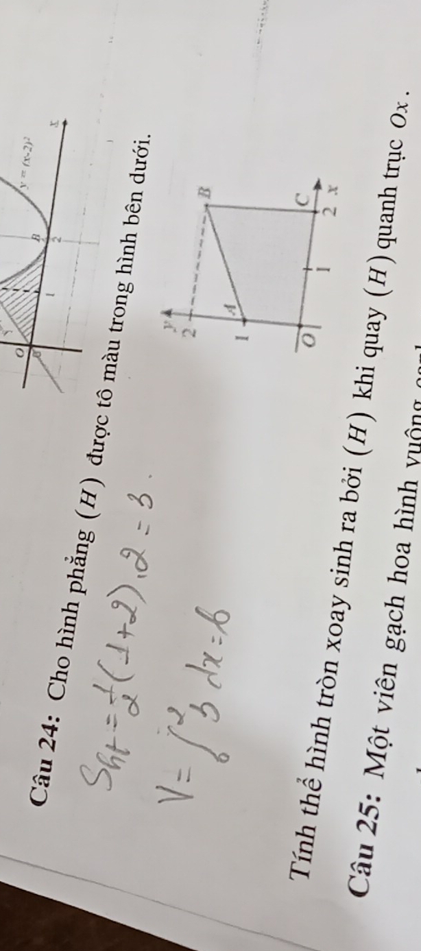 Cho hình phẳng (H) đượàu trong hình bên dưới.
Tính thể hình tròn xoay sinh ra bởi (H) khi quay (H)quanh trục Ox .
Câu   5: M ột viên gạch hoa hình  v