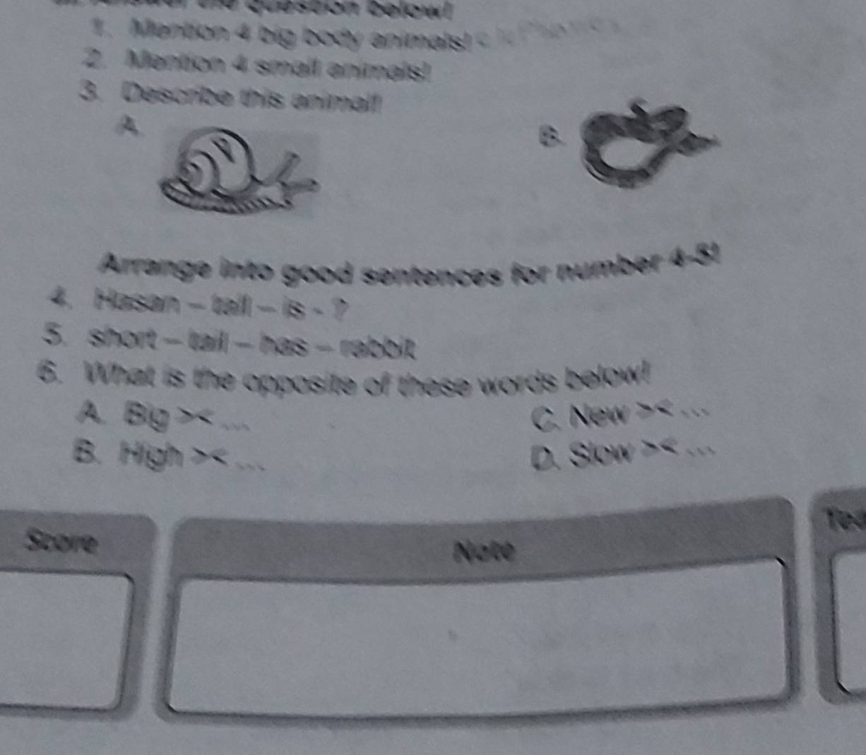 # queston belowl 
1. Mention 4 big body animals! 
2. Mention 4 small animals! 
3. Describe this animal! 
A 
B. 
Arrange into good sentences for number 4-51 
4. Hasan - tall - is - ? 
5. short - tail - has - rabbit 
6. What is the opposite of these words below! 
A Big > _C. New >