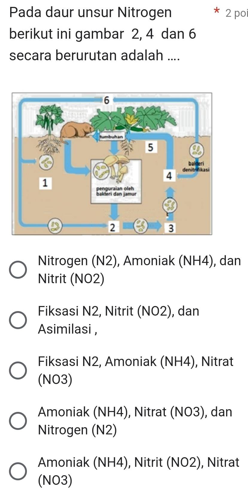 Pada daur unsur Nitrogen 2 poi
berikut ini gambar 2, 4 dan 6
secara berurutan adalah ....
Nitrogen (N2), Amoniak (NH4), dan
Nitrit (NO2)
Fiksasi N2, Nitrit (NO2), dan
Asimilasi ,
Fiksasi N2, Amoniak (NH4), Nitrat
(NO3)
Amoniak (NH4), Nitrat (NO3), dan
Nitrogen (N2)
Amoniak (NH4), Nitrit (NO2), Nitrat
(NO3)