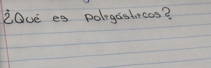 LOve eg polegastiecos?