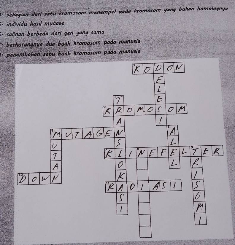 ' - sebagian darl satu kromosom menempel pada kromosom yang bukan homolognya 
individu hasil mutase 
i· salinan berbeda dari gen yang sama 
berkurangnya dua buah kromosom pada manusia
penambahan satu buah kromosom pada manusia